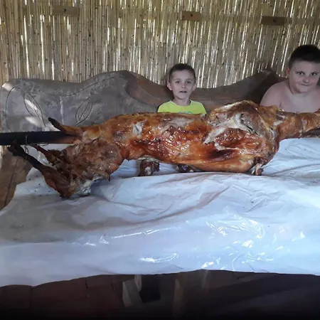 Kamp Prikolica Cetvorokrevetna Campingplads Crnca