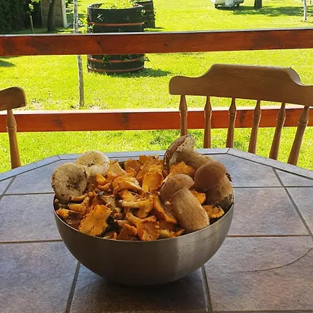 Kamp Prikolica Cetvorokrevetna Campingplads