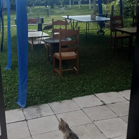 Kamp Prikolica Cetvorokrevetna Campingplads